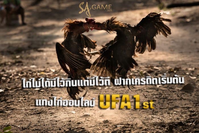 แทงไก่ออนไลน์