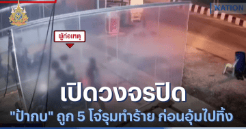 ทรชรเถื่อน 5 คน รุมทำร้ายป้ากบจนเสียชีวิต