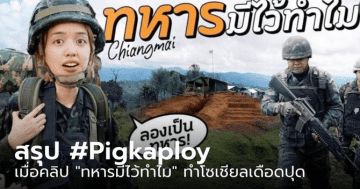 pigkaploy