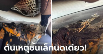 จอดรถตากแดด