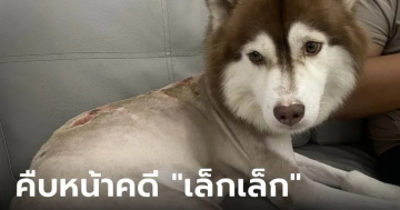 คืบหน้าแล้ว