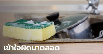 ฟองน้ำสำหรับล้างจาน
