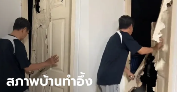 ปลวกแทะทั้งหลัง