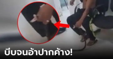 หนุ่มโดนงูกัด