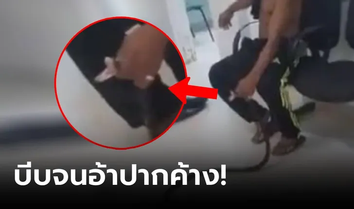 หนุ่มโดนงูกัด