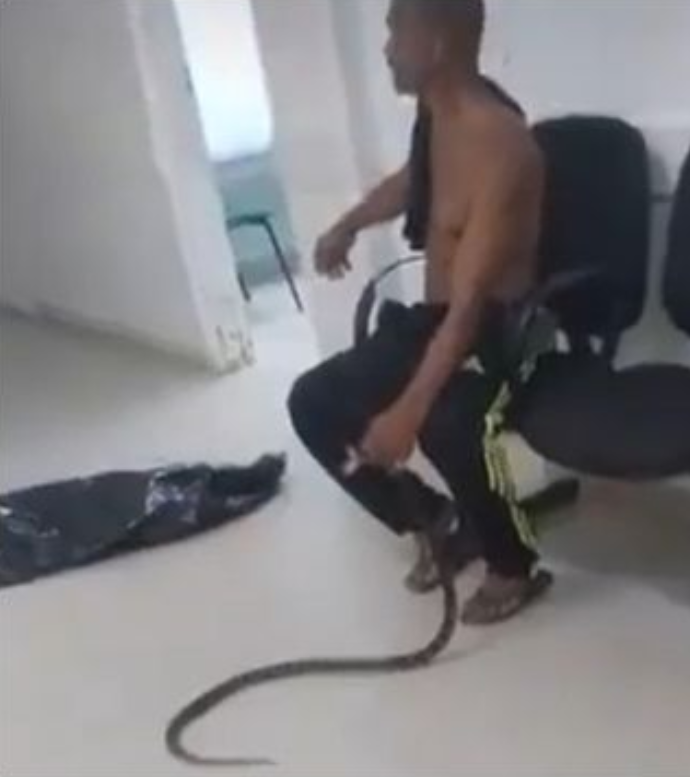 หนุ่มโดนงูกัด