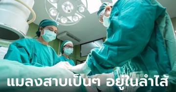 แมลงสาบติดอยู่ในลำไส้