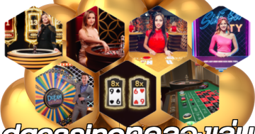 dgcasinoทดลองเล่น